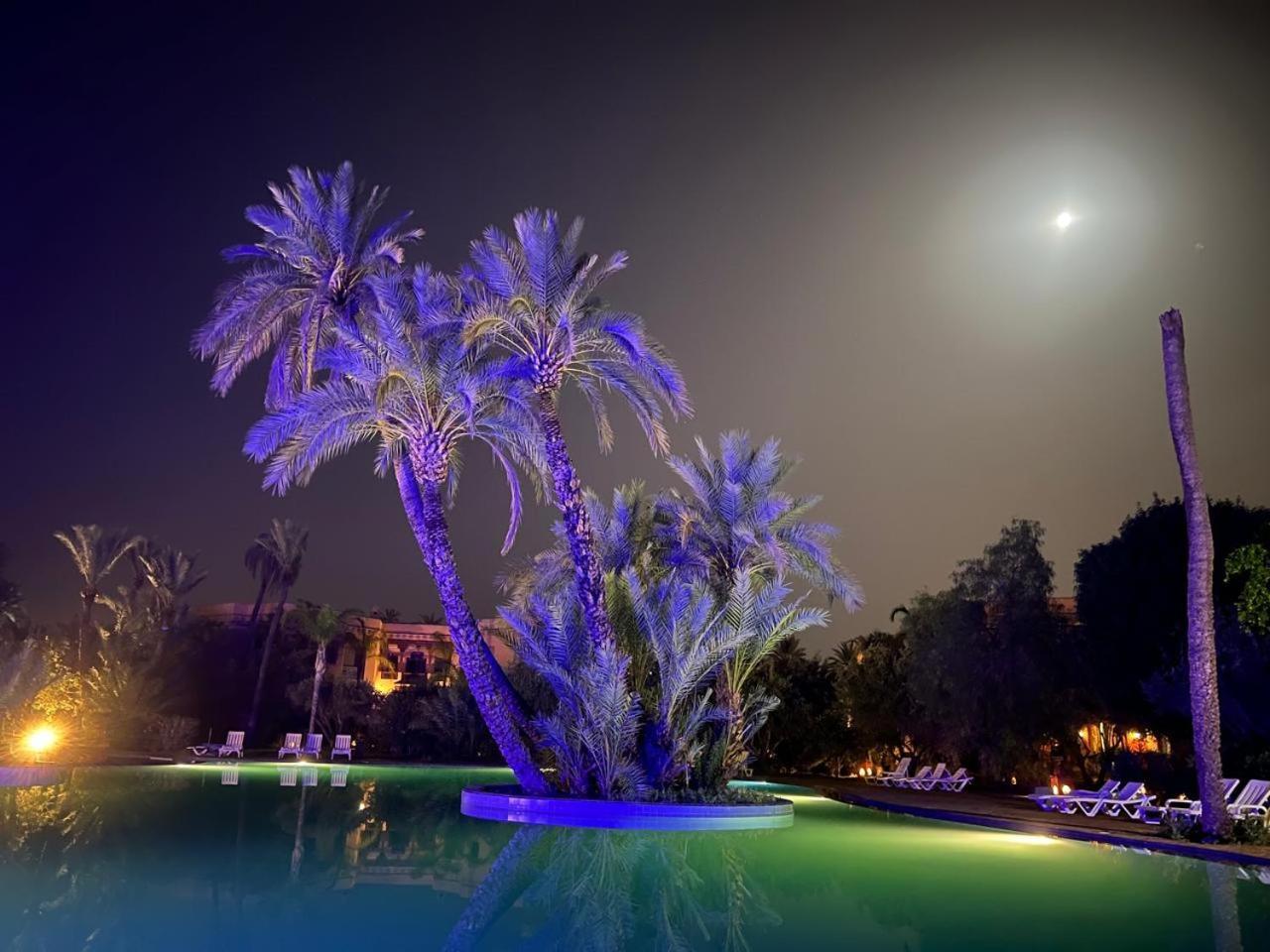 Palmeraie 5 Vue Piscine Et Jardin Vakantiehuis